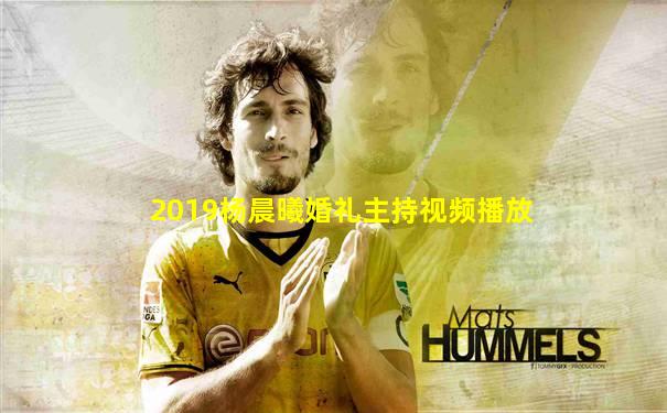 2019杨晨曦婚礼主持视频播放