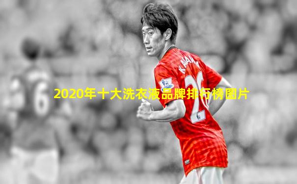 2020年十大洗衣液品牌排行榜图片