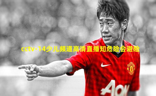 cctv-14少儿频道高清直播知危险会避险
