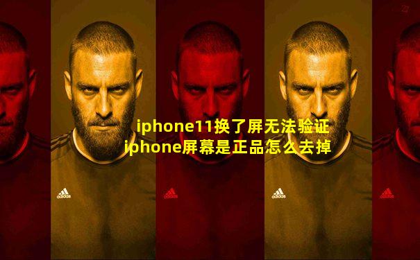 iphone11换了屏无法验证iphone屏幕是正品怎么去掉