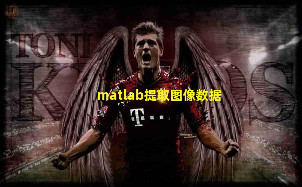 matlab提取图像数据