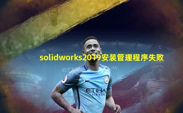 solidworks2019安装管理程序失败