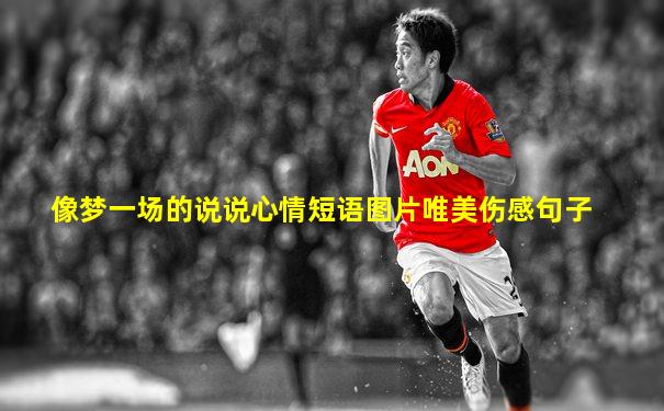 像梦一场的说说心情短语图片唯美伤感句子