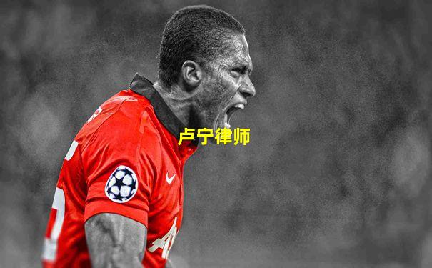卢宁律师
