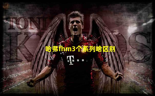 哈弗fhm3个系列啥区别