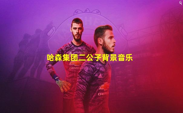 哈森集团二公子背景音乐