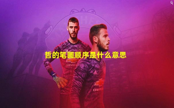 哲的笔画顺序是什么意思