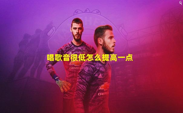 唱歌音很低怎么提高一点