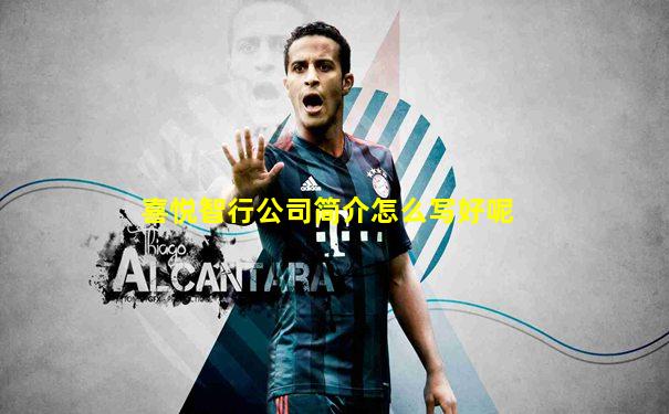 喜悦智行公司简介怎么写好呢