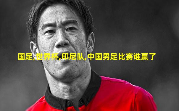 国足,世界杯,印尼队,中国男足比赛谁赢了