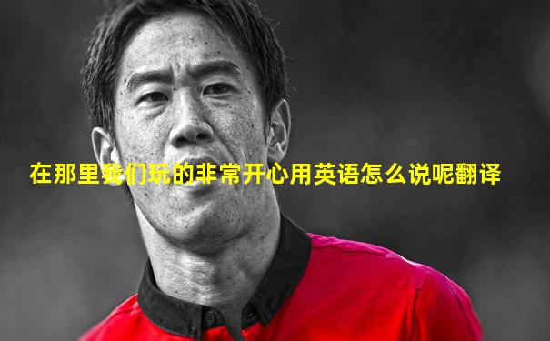 在那里我们玩的非常开心用英语怎么说呢翻译