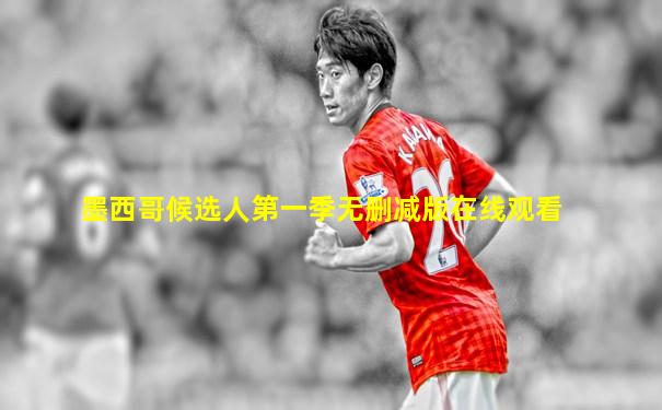 墨西哥候选人第一季无删减版在线观看