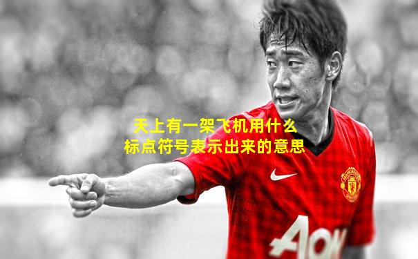 天上有一架飞机用什么标点符号表示出来的意思