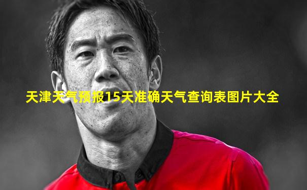 天津天气预报15天准确天气查询表图片大全