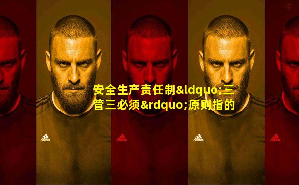 安全生产责任制“三管三必须”原则指的是