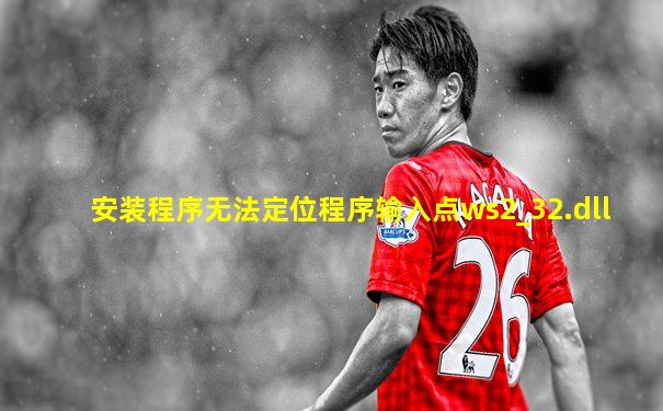 安装程序无法定位程序输入点ws2_32.dll