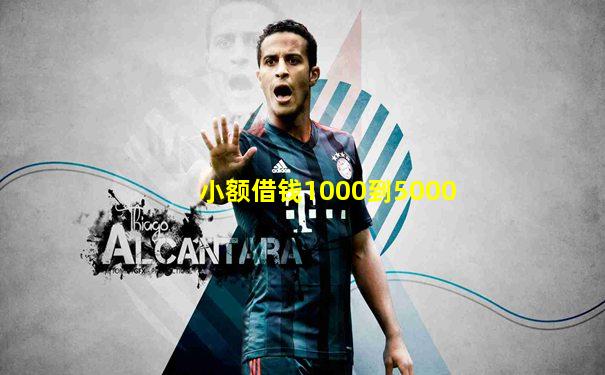 小额借钱1000到5000