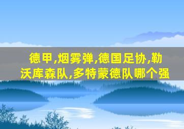 德甲,烟雾弹,德国足协,勒沃库森队,多特蒙德队哪个强