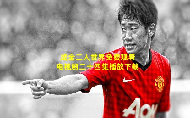 成全二人世界免费观看电视剧二十四集播放下载