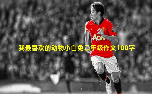 我最喜欢的动物小白兔二年级作文100字