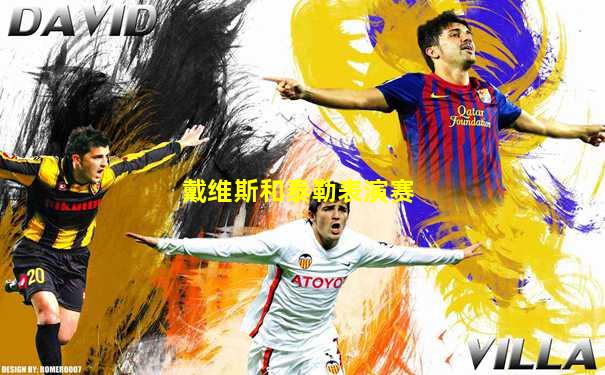 戴维斯和泰勒表演赛