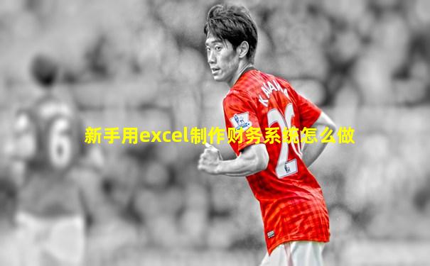 新手用excel制作财务系统怎么做