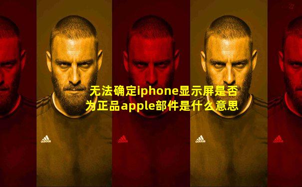 无法确定iphone显示屏是否为正品apple部件是什么意思