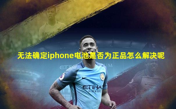 无法确定iphone电池是否为正品怎么解决呢