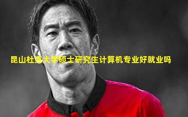 昆山杜克大学硕士研究生计算机专业好就业吗