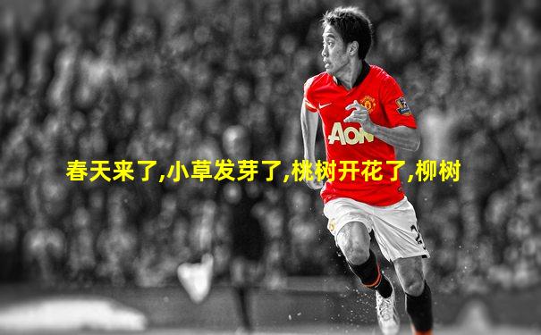 春天来了,小草发芽了,桃树开花了,柳树