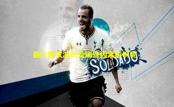 最大吸收波长受哪些因素影响呢