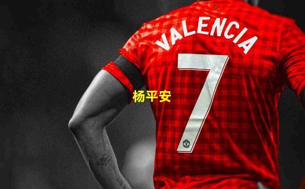 杨平安