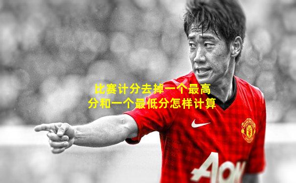 比赛计分去掉一个最高分和一个最低分怎样计算