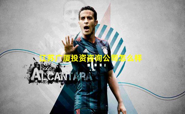 江苏广厦投资咨询公司怎么样