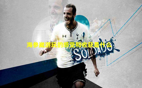 海参崴游玩的感受和收获是什么