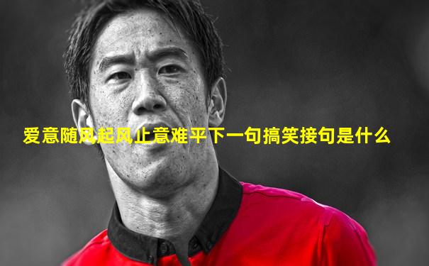 爱意随风起风止意难平下一句搞笑接句是什么