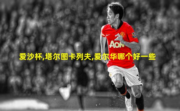 爱沙杯,塔尔图卡列夫,爱尔华哪个好一些