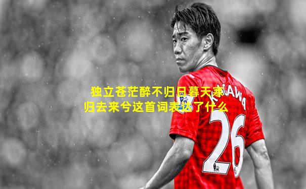 独立苍茫醉不归日暮天寒归去来兮这首词表达了什么