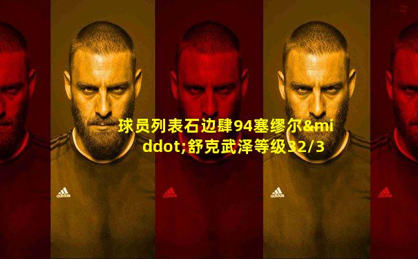 球员列表石边肆94塞缪尔·舒克武泽等级32/32右