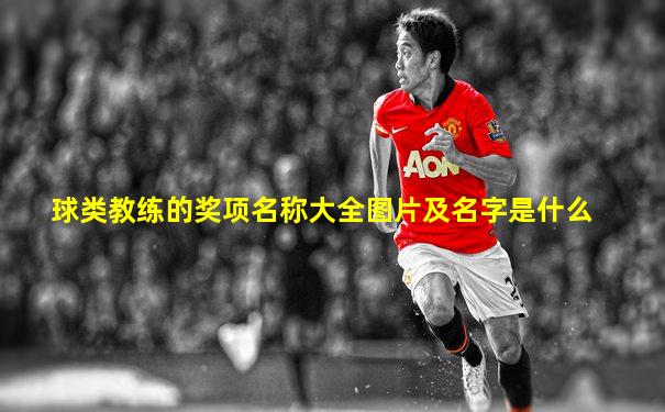 球类教练的奖项名称大全图片及名字是什么