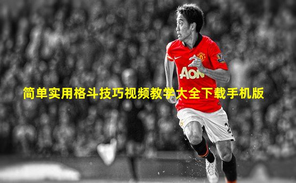 简单实用格斗技巧视频教学大全下载手机版