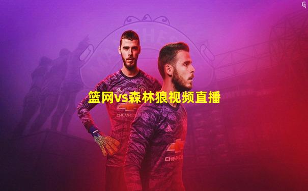 篮网vs森林狼视频直播