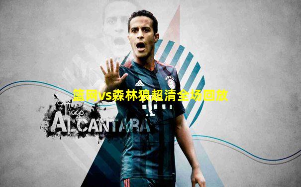篮网vs森林狼超清全场回放