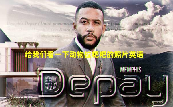 给我们看一下动物拉粑粑的照片英语
