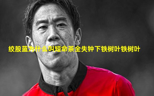 绞股蓝为什么叫短命茶全失钟下铁树叶铁树叶