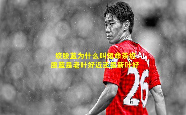 绞股蓝为什么叫短命茶绞股蓝是老叶好近还是新叶好