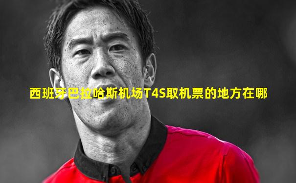 西班牙巴拉哈斯机场T4S取机票的地方在哪