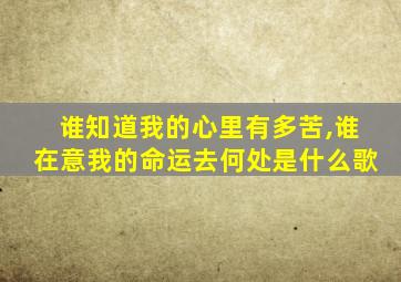 谁知道我的心里有多苦,谁在意我的命运去何处是什么歌