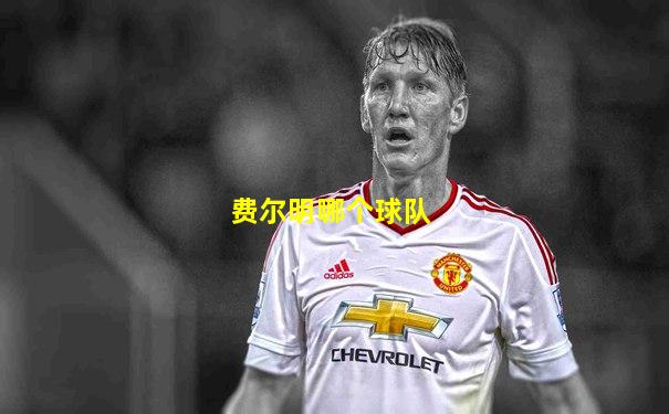 费尔明哪个球队