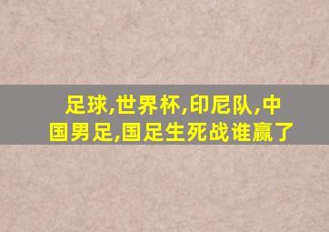 足球,世界杯,印尼队,中国男足,国足生死战谁赢了